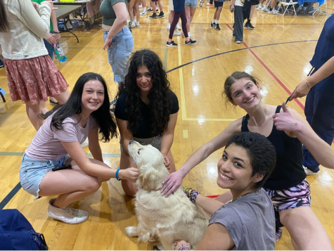 Students gather around therapy dog Baby Girl at the second annual Wellness Fair, held at the high school on Friday, April 14, 2023. 