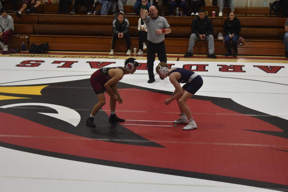 Wrestler Mason Pierce celebrates after after winning his weight class against Livingston during the 2024-2025 season.