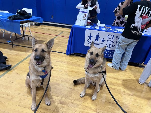 Bright and Beautiful Therapy Dogs introduced two of their fluffy friends to RHS visitors at the fourth annual Wellness Fair, on Friday, April 4, 2025.